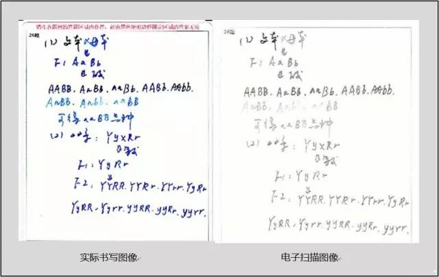 中高考电脑阅卷流程这样的!读完可多拿20分(转给考生,这对他们有用)