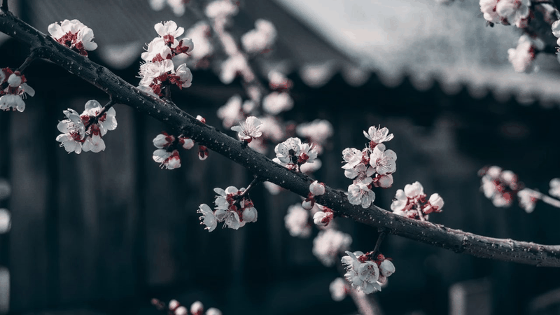 他山之石:让你受益一生的事